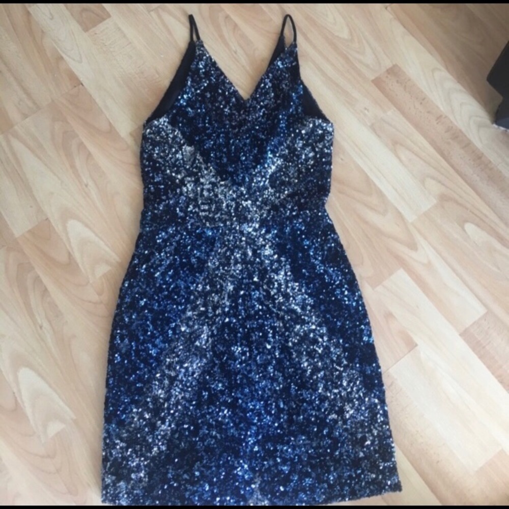 Dress the Population Sequin Dress